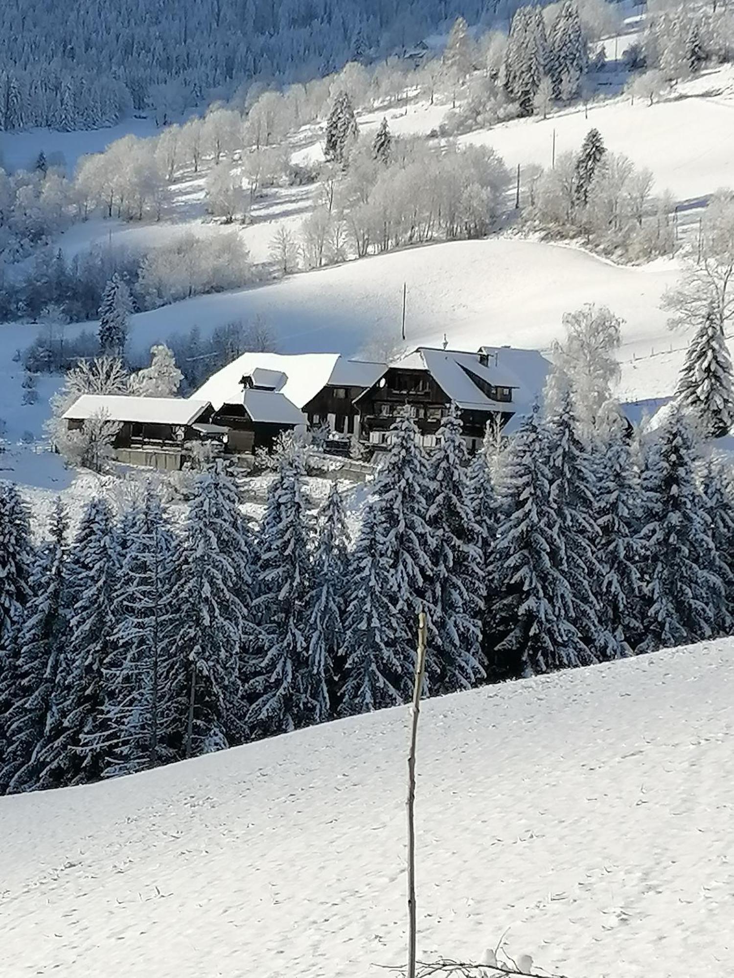 Hotel Surtmannhof Sirnitz Exteriér fotografie